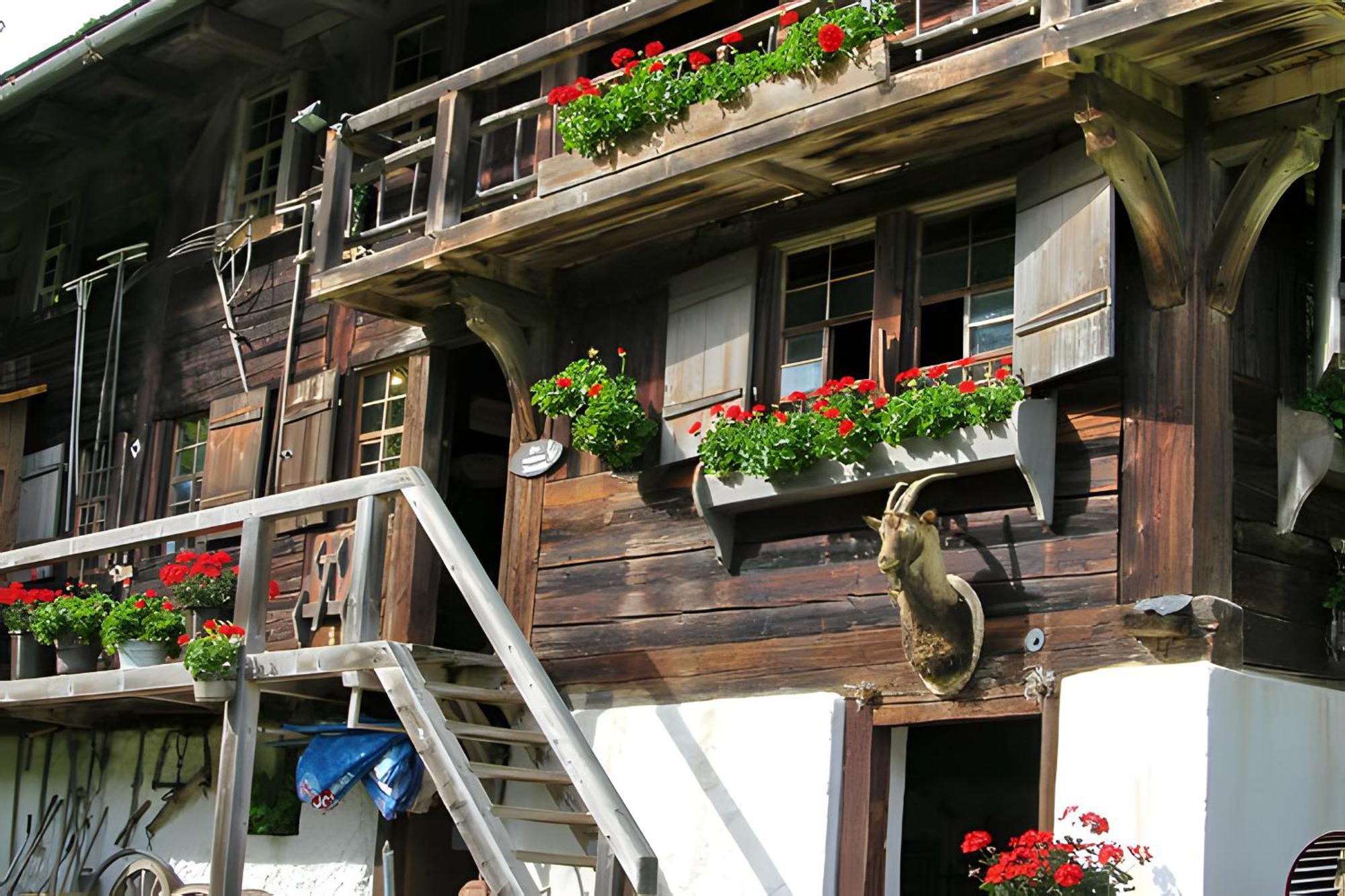 Ferienhaus Voelkle Hinterzarten Exterior foto