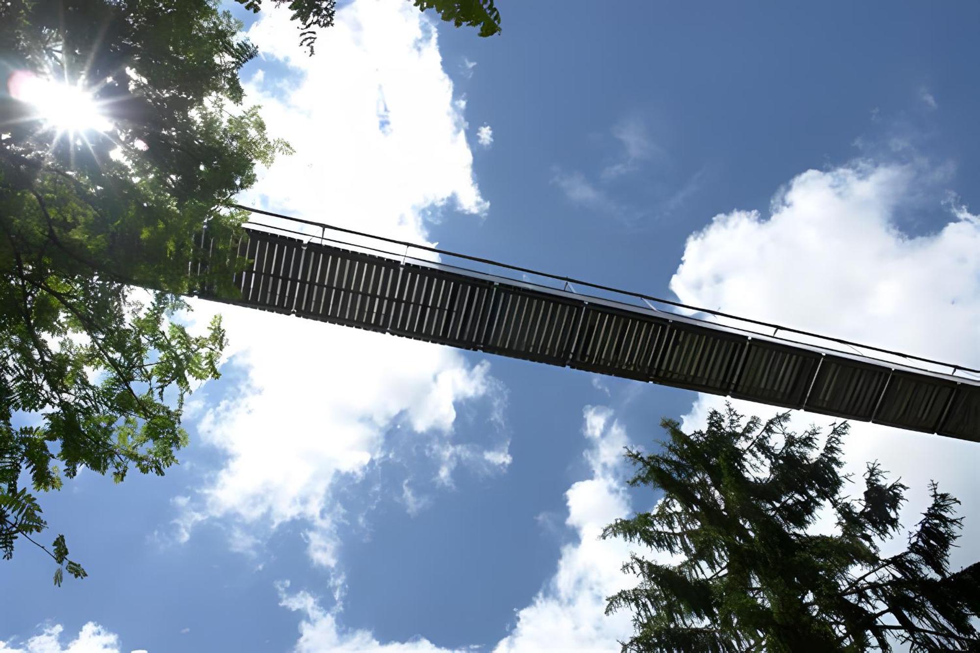 Ferienhaus Voelkle Hinterzarten Exterior foto